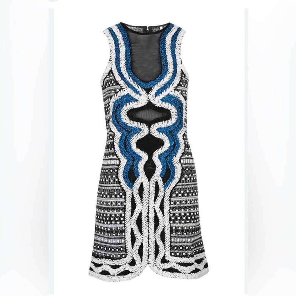 Gorgeous, embroidered mini dress by Top Shop SZ 8 excellent condition